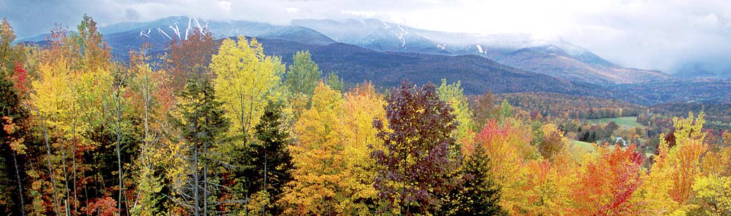 Vermont Foliage Vermont Foliage